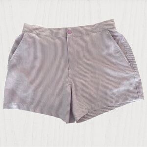 Abercrombie & Fitch Purple Seersucker Shorts
